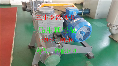 20190216_152943.jpg