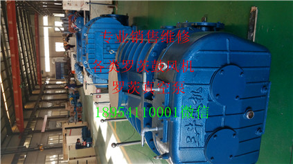 20190216_153155.jpg