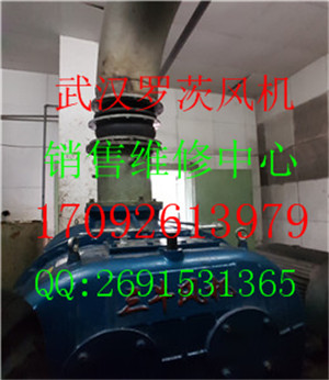 20151223_162136_副本1.jpg