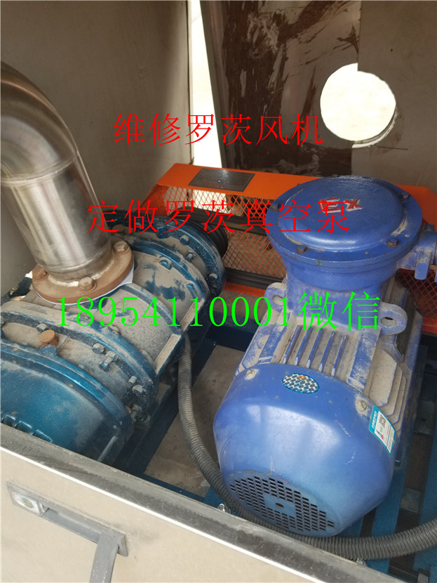 20190521_143231.jpg