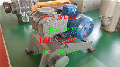 20190216_152949.jpg
