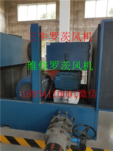 20180804_160406.jpg
