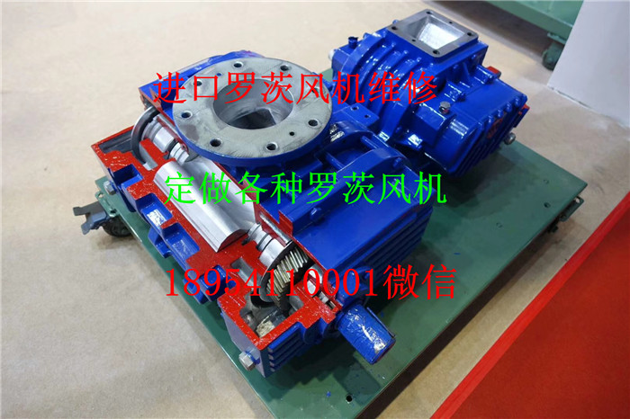 mmexport1578721033667.jpg